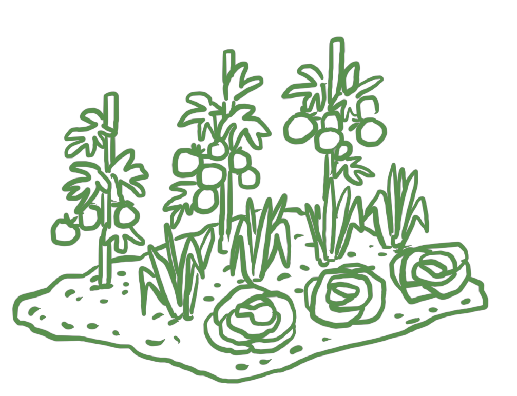 potager_vert